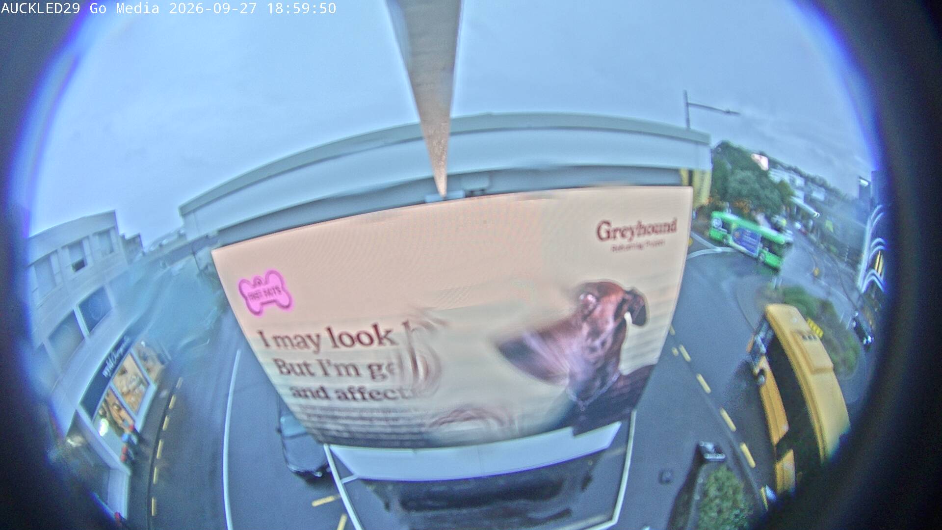 AUCKLED29 SEP 27 6:59:50 PM